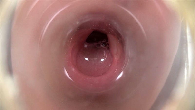 サンプル画像 9