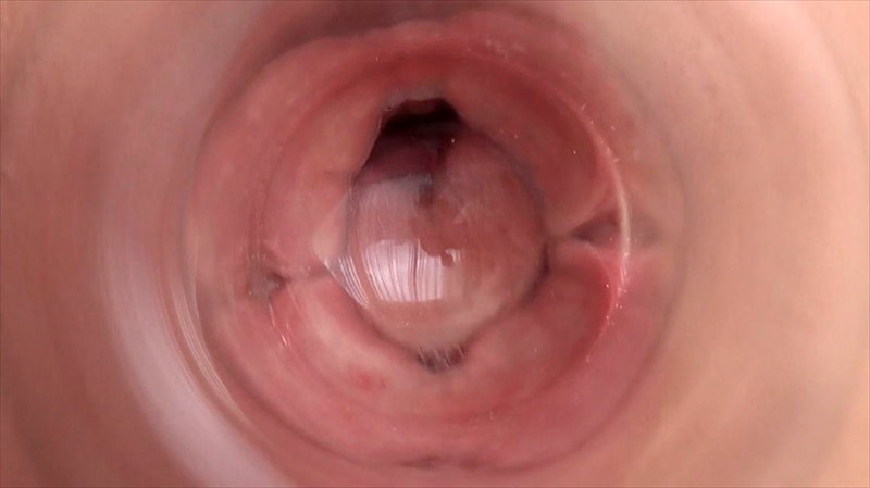 サンプル画像 9