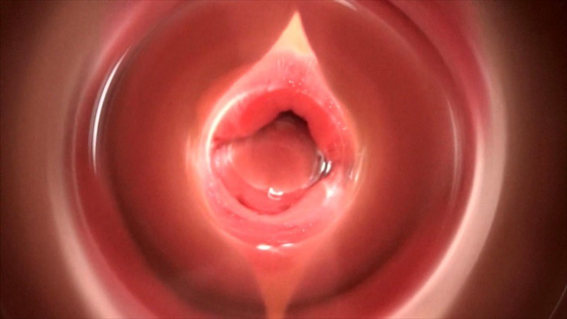 サンプル画像 12