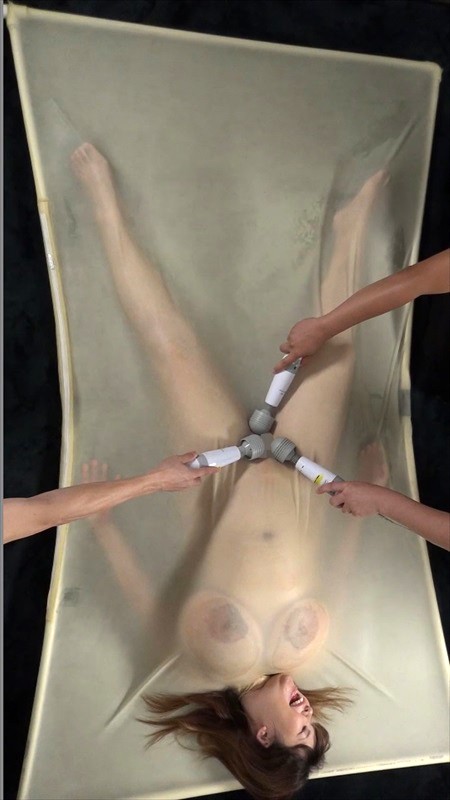 サンプル画像 14