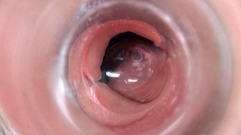 サンプル画像 12