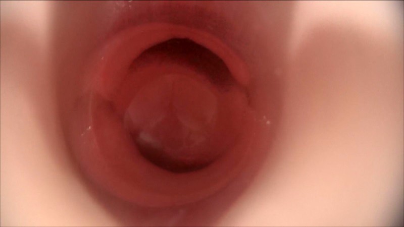 サンプル画像 11