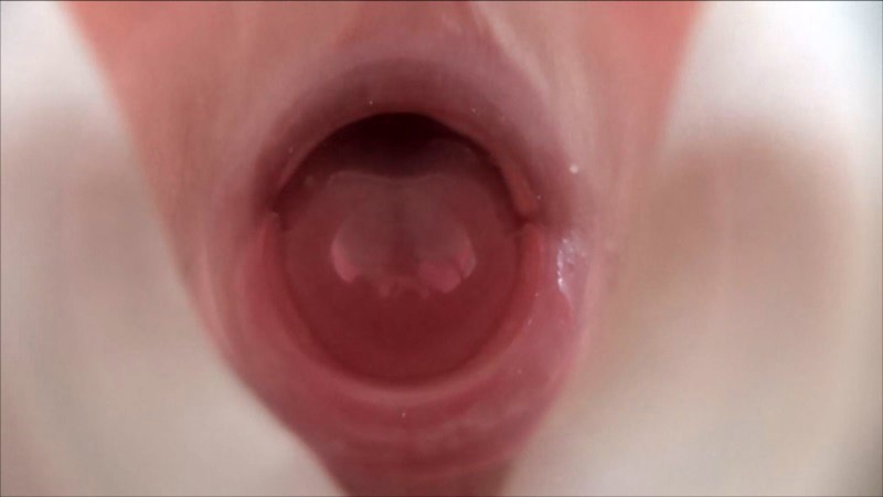 サンプル画像 12