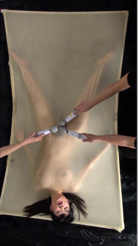 サンプル画像 14