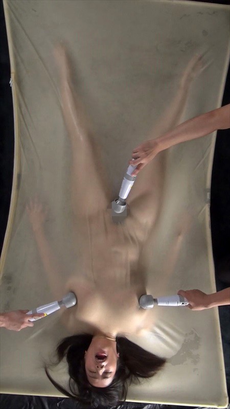 サンプル画像 13