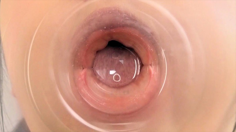 サンプル画像 16