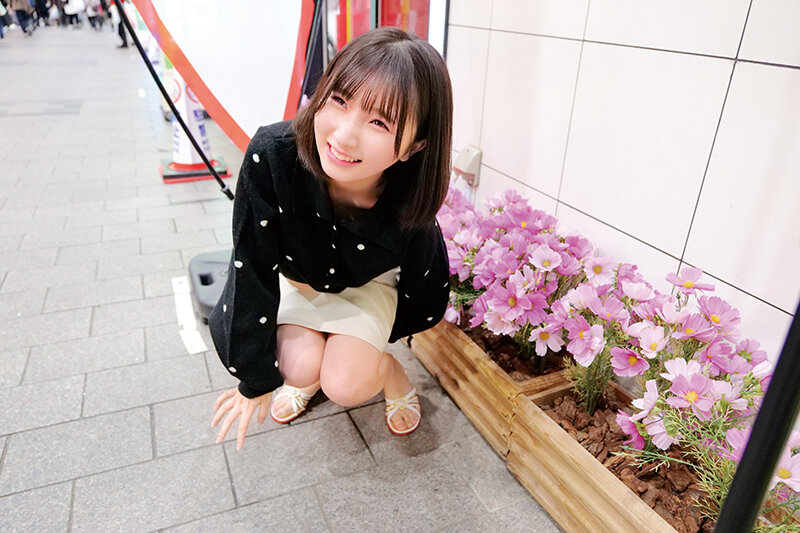 サンプル画像 18