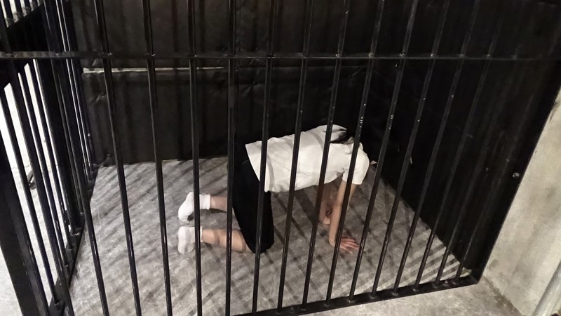 サンプル画像 2