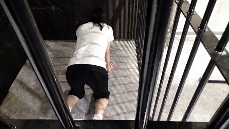 サンプル画像 3