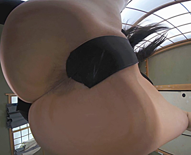 サンプル画像 12