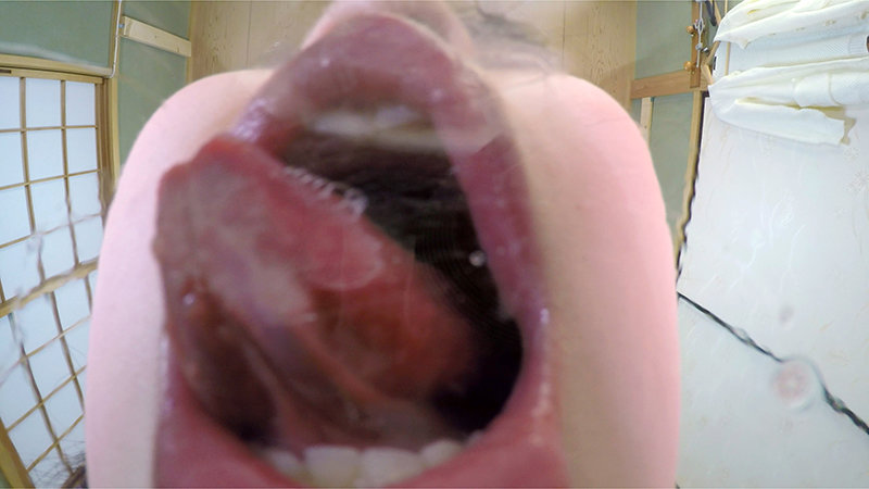 サンプル画像 15