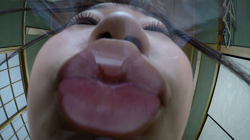 サンプル画像 8