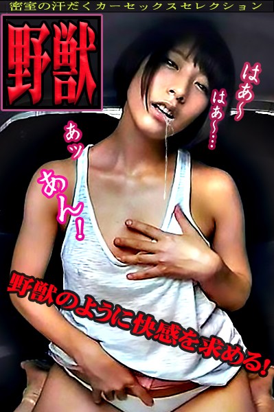 サンプル画像 11