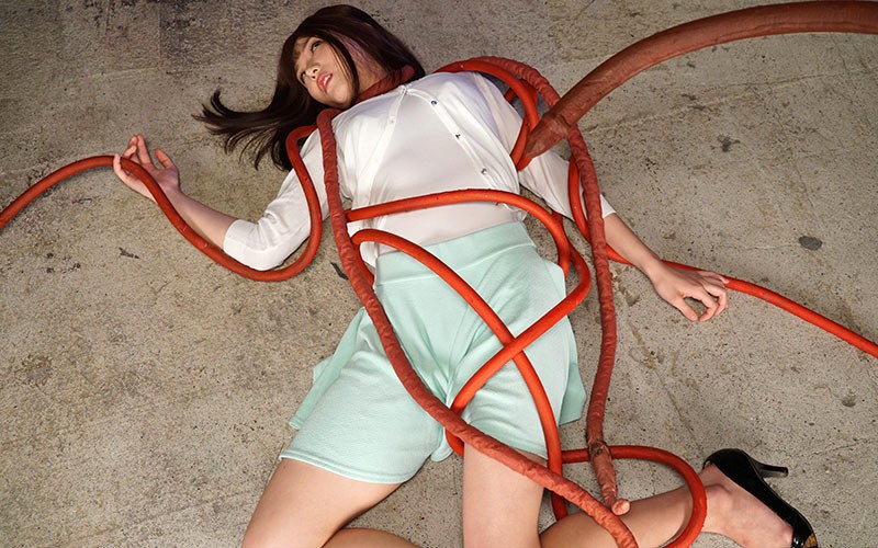 サンプル画像 3