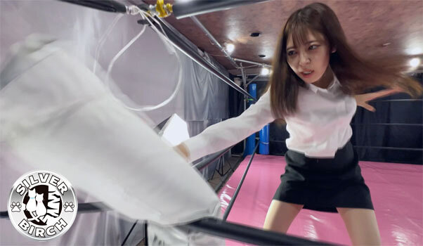 サンプル画像 5