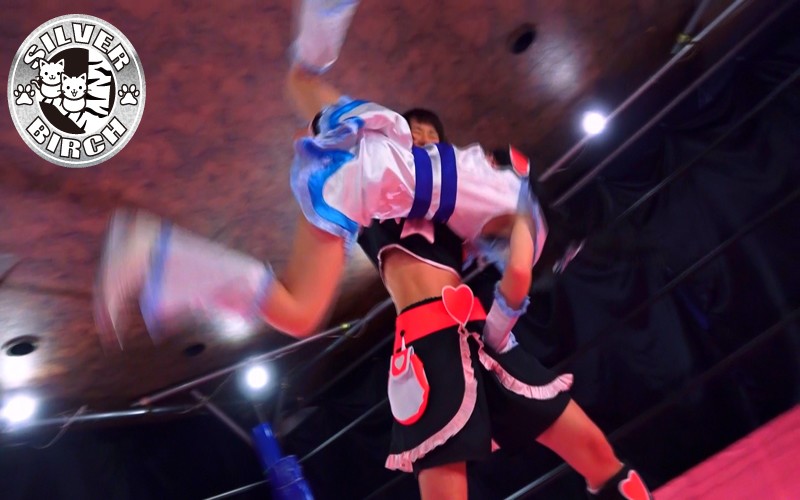 サンプル画像 5