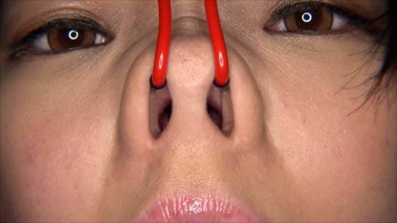 サンプル画像 14