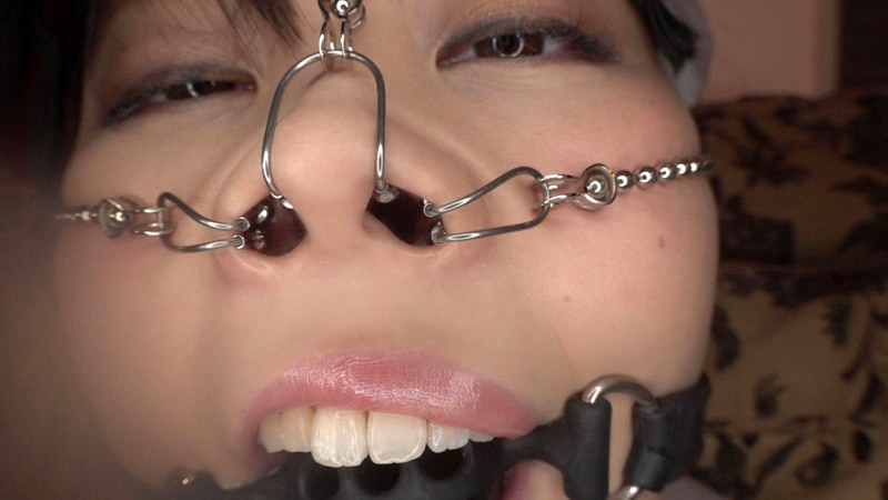 サンプル画像 8