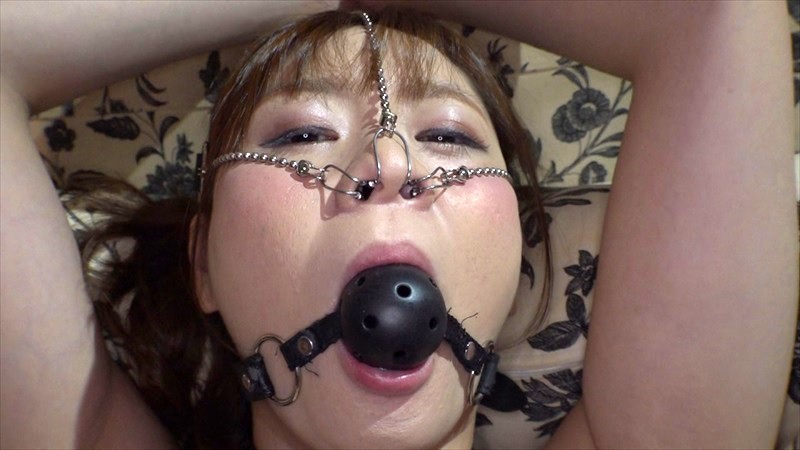 サンプル画像 12