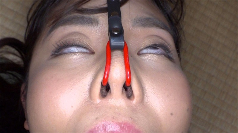 サンプル画像 12