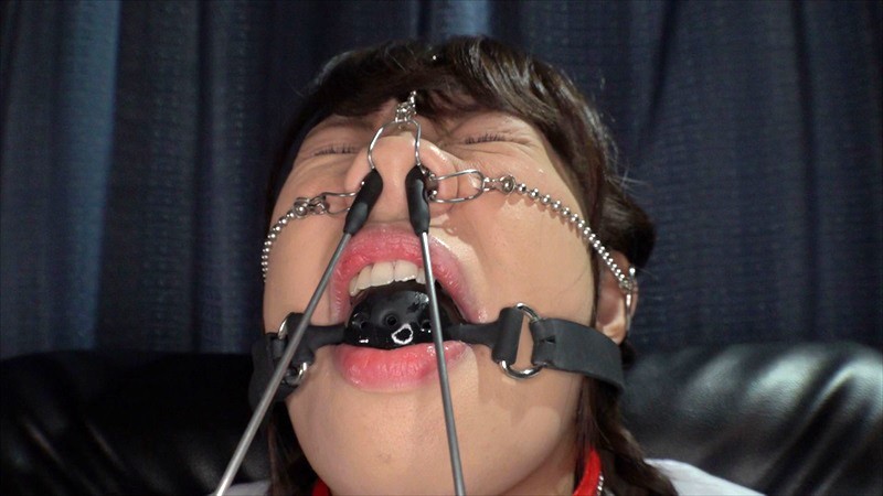 サンプル画像 16