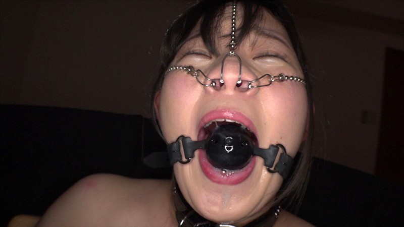 サンプル画像 8