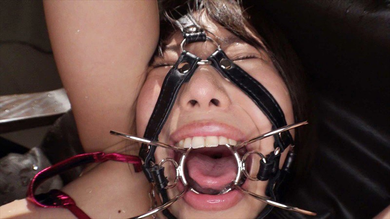 サンプル画像 8