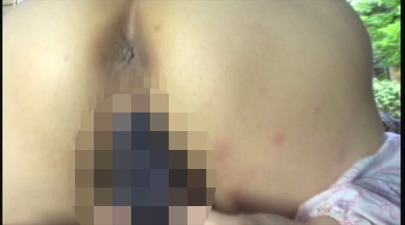 サンプル画像 8