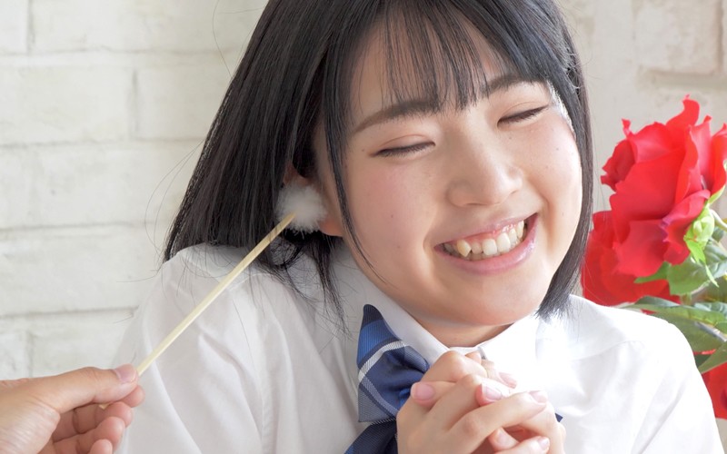 サンプル画像 5