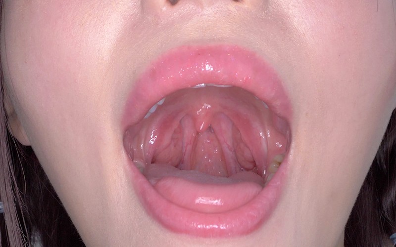 サンプル画像 12