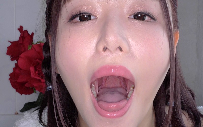 サンプル画像 13