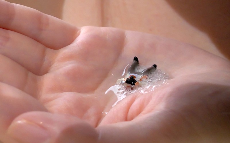 サンプル画像 13