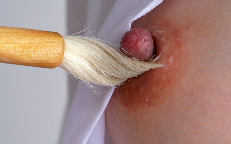 サンプル画像 11