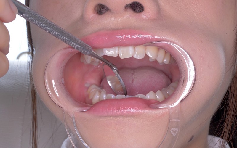 サンプル画像 6