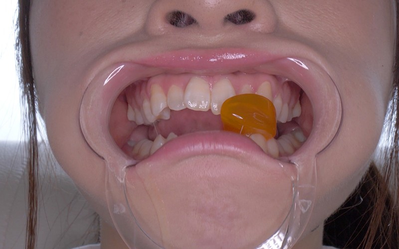 サンプル画像 8