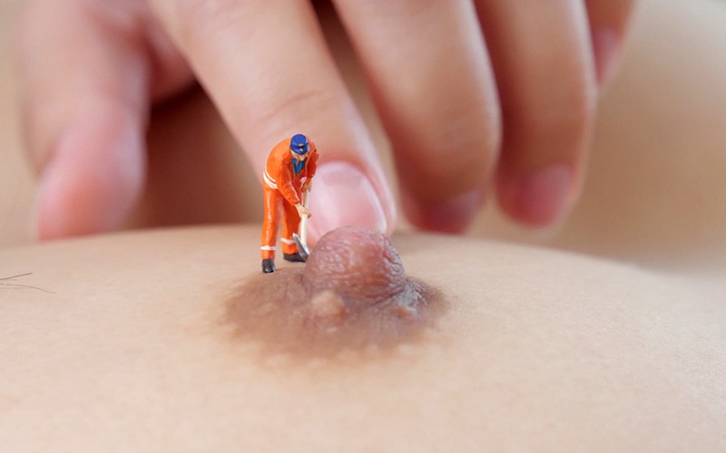 サンプル画像 11