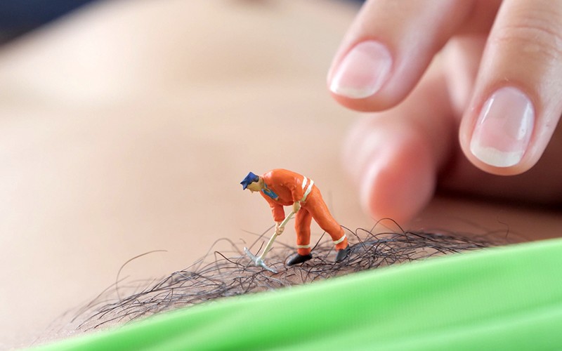 サンプル画像 10