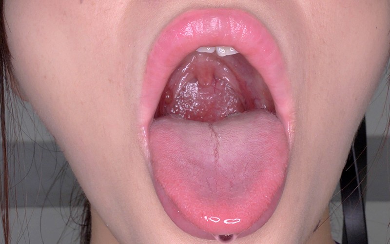 サンプル画像 13