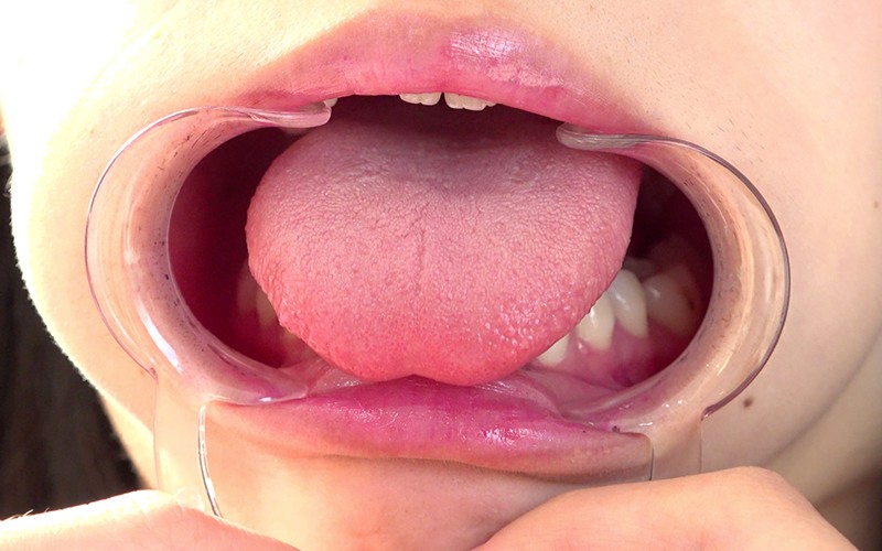 サンプル画像 11