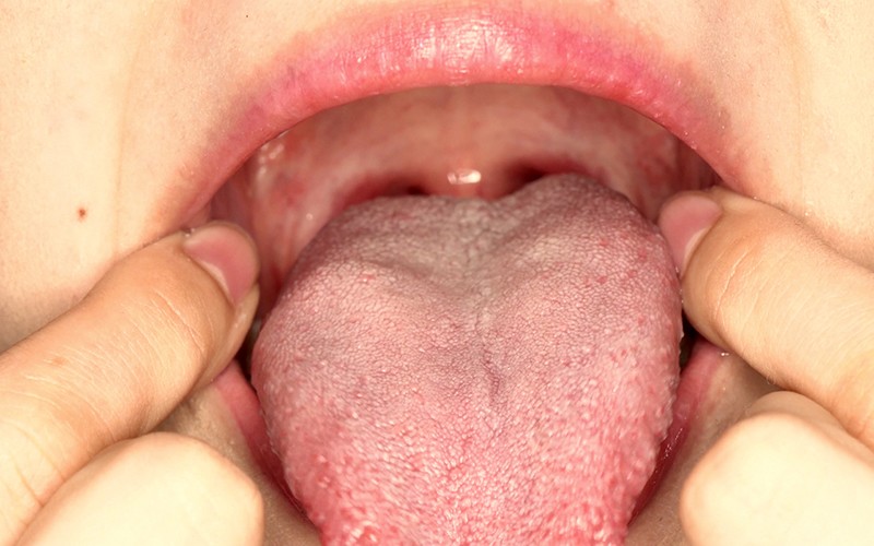 サンプル画像 16