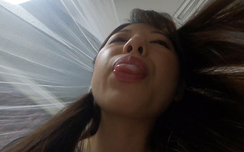 サンプル画像 12