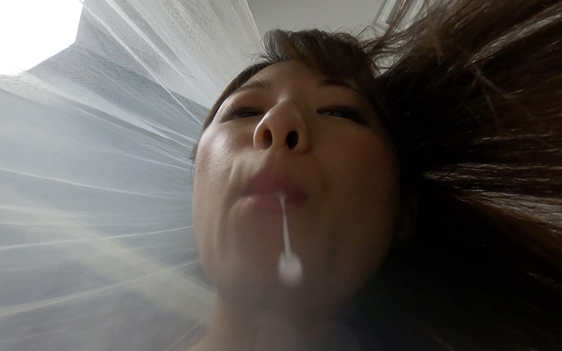 サンプル画像 9