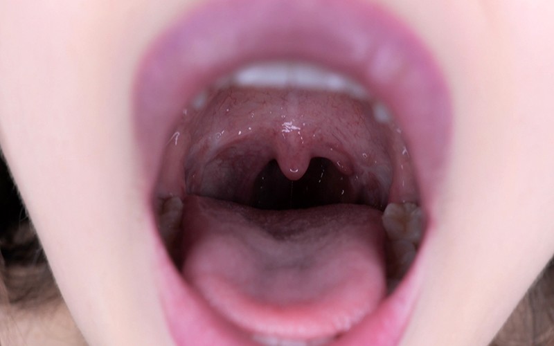 サンプル画像 16