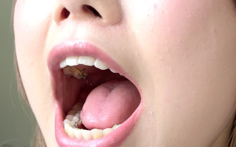 サンプル画像 9