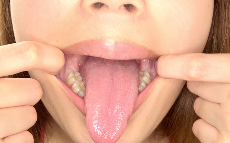 サンプル画像 13