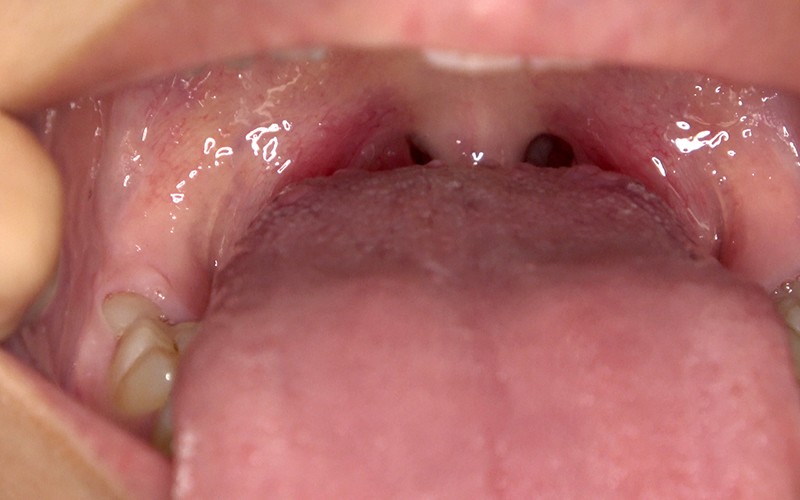 サンプル画像 15