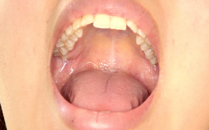 サンプル画像 5