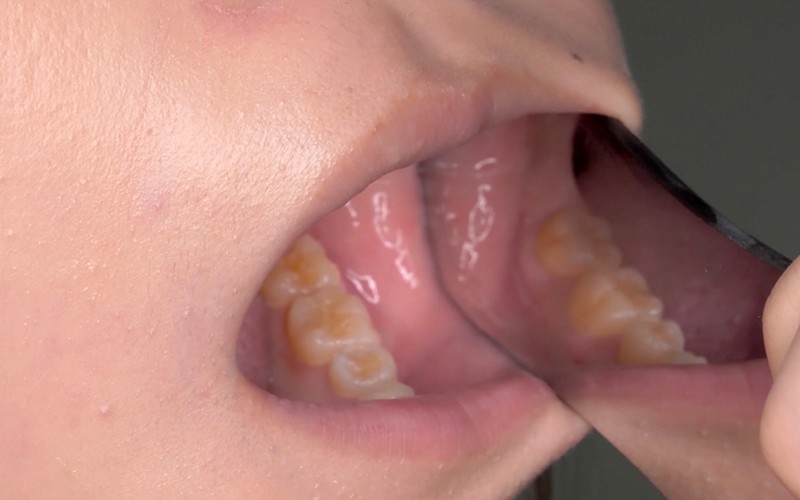 サンプル画像 13