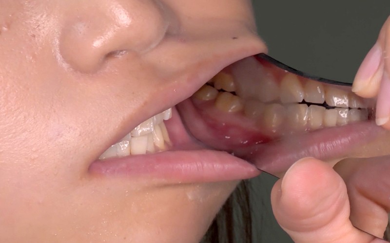 サンプル画像 14