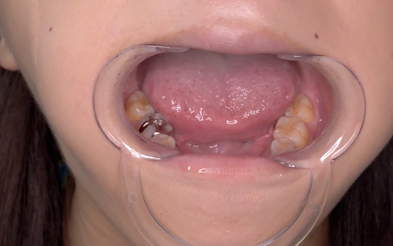 サンプル画像 5